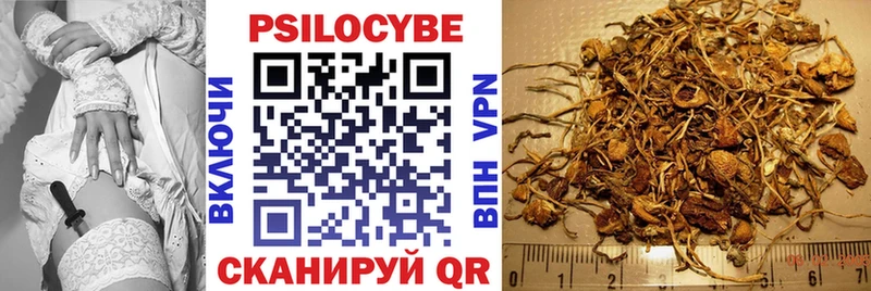 Псилоцибиновые грибы мухоморы  Ядрин 